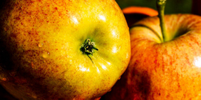 ddos攻击器安卓ios下载